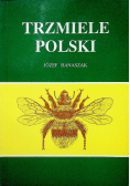 Trzmiele polski