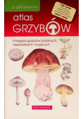 Ilustrowany atlas grzybów