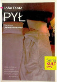 Pył