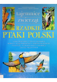 Rzadkie ptaki Polski