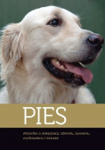 Pies