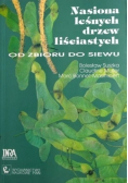 Nasiona leśnych drzew liściastych od zbioru do siewu