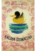 Kaczka-dziwaczka