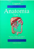 Anatomia tom 1
