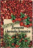 Żurawina i borówka brusznica