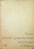 Zarys historii gospodarstwa wiejskiego w Polsce  Tom I