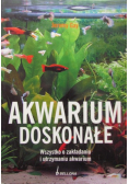 Akwarium doskonałe