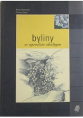 Byliny w ogrodzie skalnym