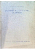 Anatomia patologiczna w zarysie