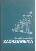 Zadrzewienia