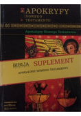 Apokryfy Nowego testamentu Tom 66 Apokalipsa Nowego Testamentu