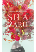 Siła żaru