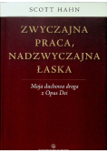 Zwyczajna praca, nadzwyczajna łaska
