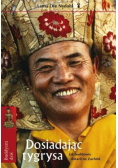 Dosiadając tygrysa