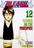 Bleach Tom 12
