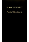 Nowy Testament. Przekład Odzyskiwania