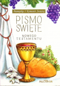 Pismo Święte Nowego Testamentu