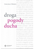 Droga pogody ducha