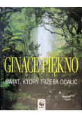 Ginące piękno Świat który trzeba ocalić
