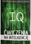 IQ Ćwiczenia na inteligencję
