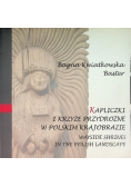 Kapliczki i krzyże przydrożne w polskim krajobrazie Wayside shrines in the Polish landscape