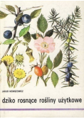 Dziko rosnące rośliny użytkowe
