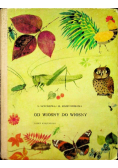 Od wiosny do wiosny