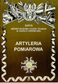 Artyleria pomiarowa