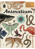 Animalium
