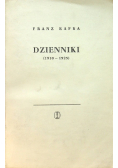 Kafka Dzienniki ( 1910 - 1925 )