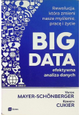 Big data Efektywna analiza danych