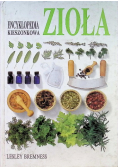 Encyklopedia kieszonkowa Zioła