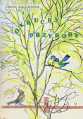Okruchy przyrody