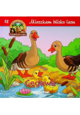 Mieszkam blisko lasu Gęgawa