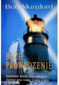 Boże prowadzenie