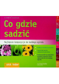 Co gdzie sadzić