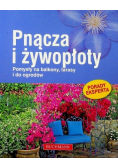 Pnącza i żywopłoty