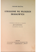 Odrodzenie we Włoszech Środkowych 1913 r.