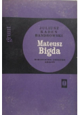 Mateusz Bigda. Grunt