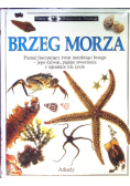 Patrzę Podziwiam Poznaję Brzeg Morza