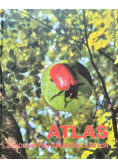 Atlas szkodliwych owadów leśnych