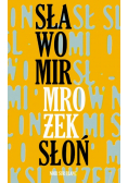 Słoń