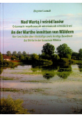Nad watrą i wśród lasów