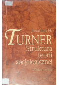 Struktura teorii socjologicznej