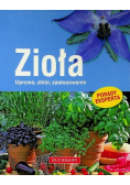 Zioła Uprawa zbiór zastosowanie