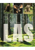 Polski las