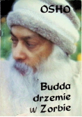 Budda drzemie w Zorbie