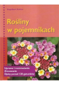 Rośliny w pojemnikach