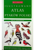 Ilustrowany atlas ptaków polski