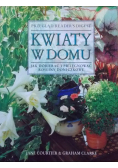 Kwiaty w domu